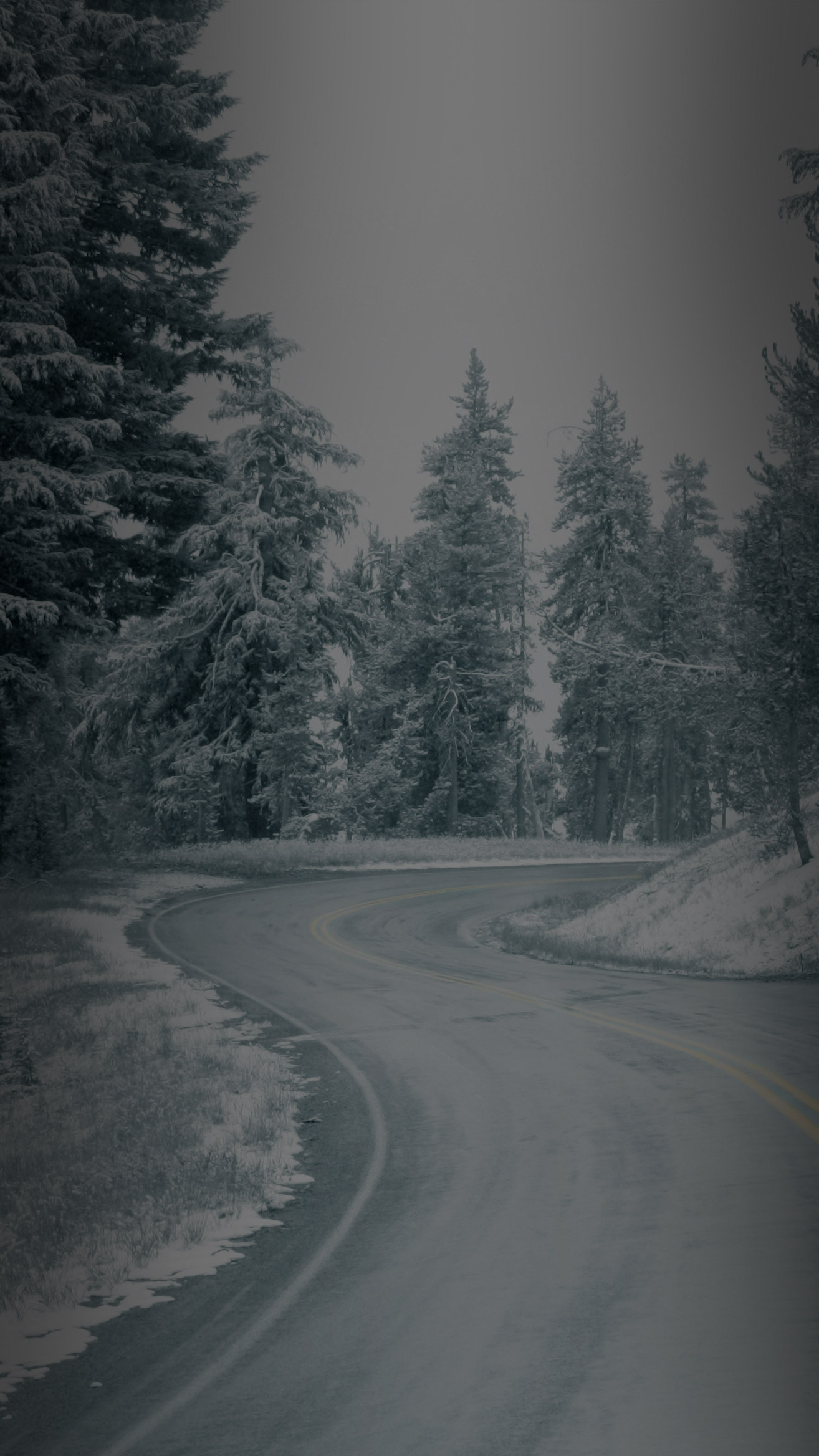 Winter Maxx Tires | Designed for Winter Conditions | Dunlop Tires